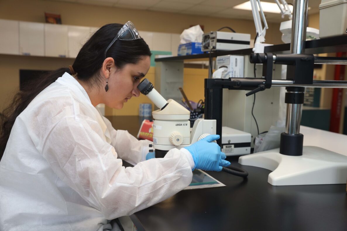 persona observando por un microscopio